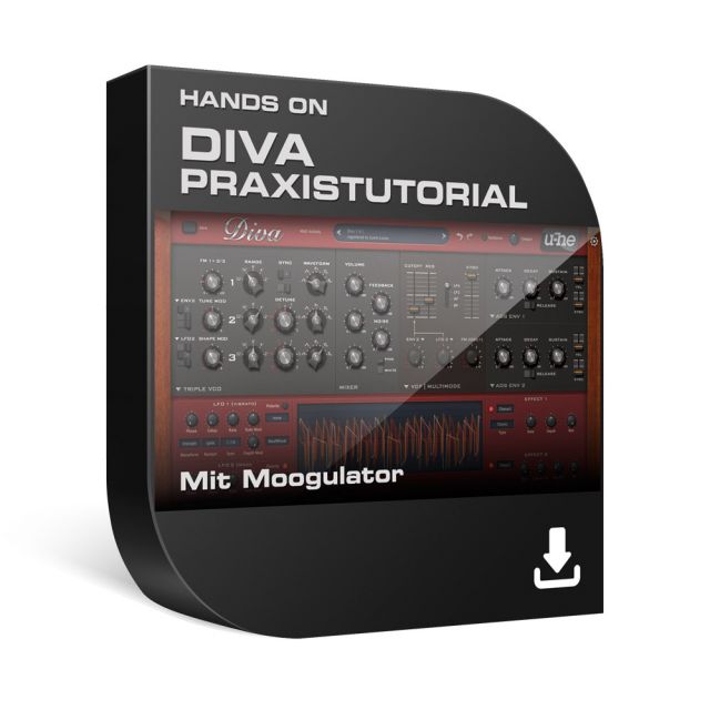 Diva - Das Praxistutorial