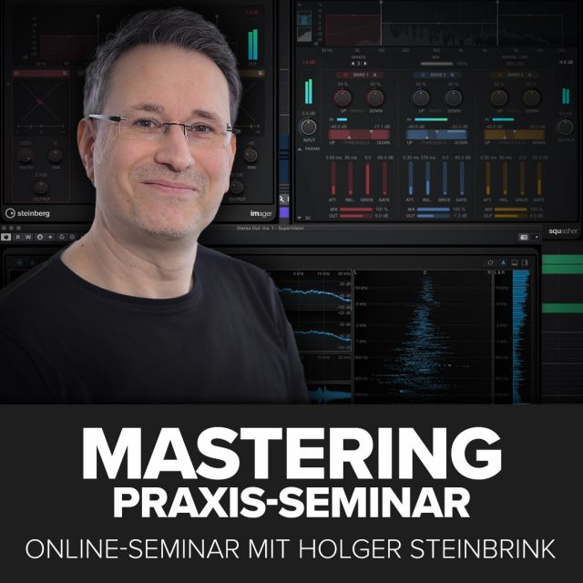 Mastering-Praxis Online-Seminar