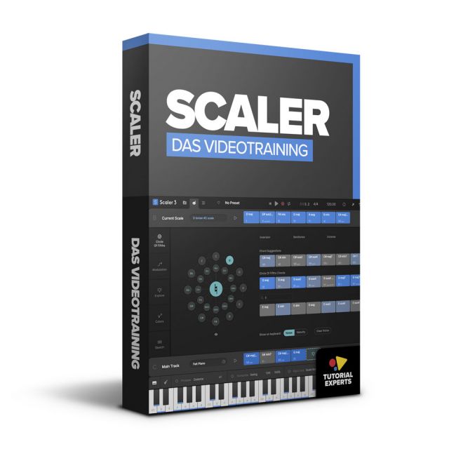 Scaler 3 – Das Videotraining