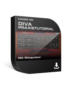 Diva - Das Praxistutorial