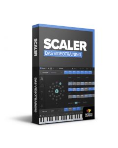 Scaler 3 – Das Videotraining