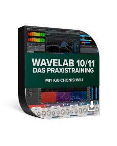 Steinberg Wavelab 10/11 Praxistraining