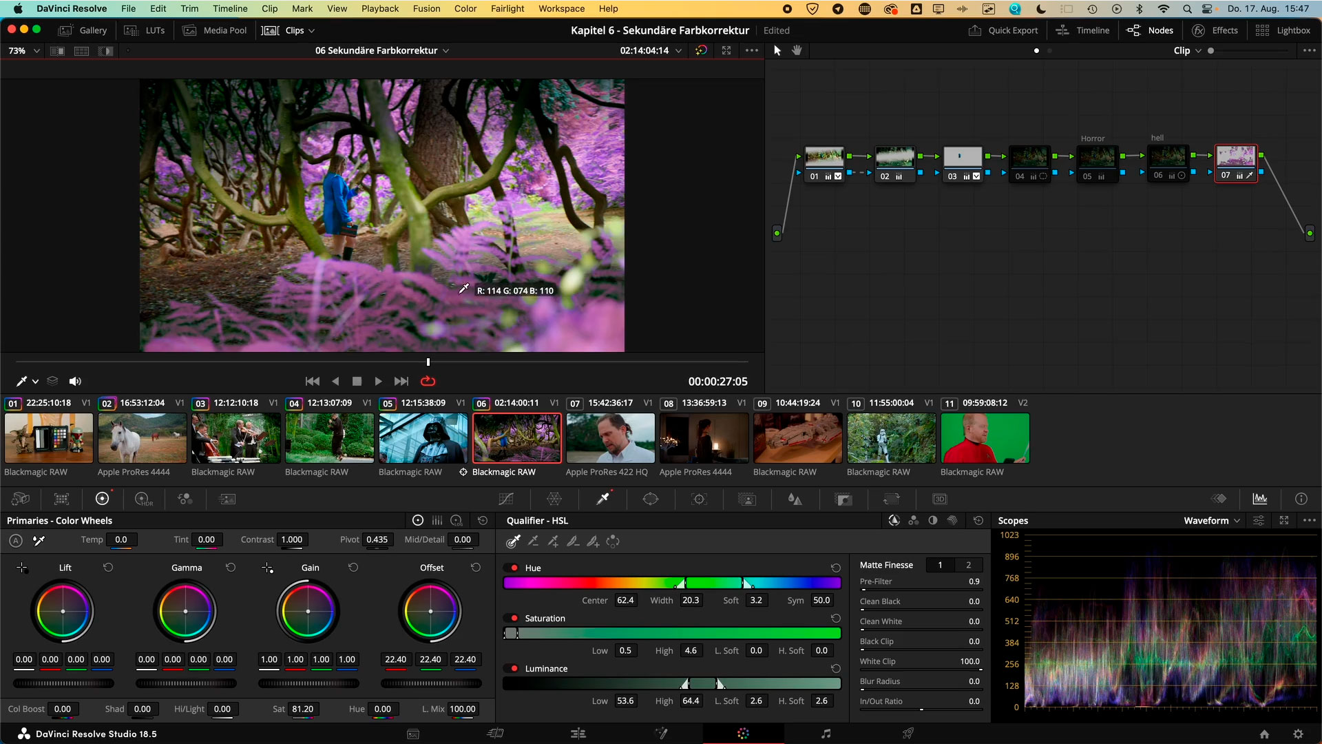 Color-Grading mit DaVinci Resolve Color-Grading mit DaVinci Resolve